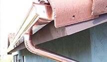 wildlife-proofing-gutters-bird-squirrel-rodent-guards Experts in Joppatowne